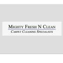 Mighty Fresh N Clean logo